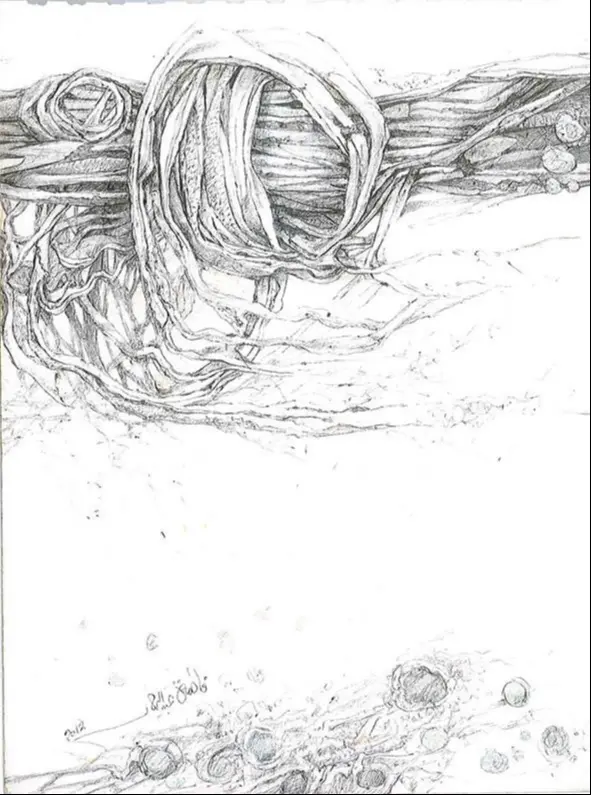 Artwork 'Untitled' by Fatma Abdelrahman - Picture 7