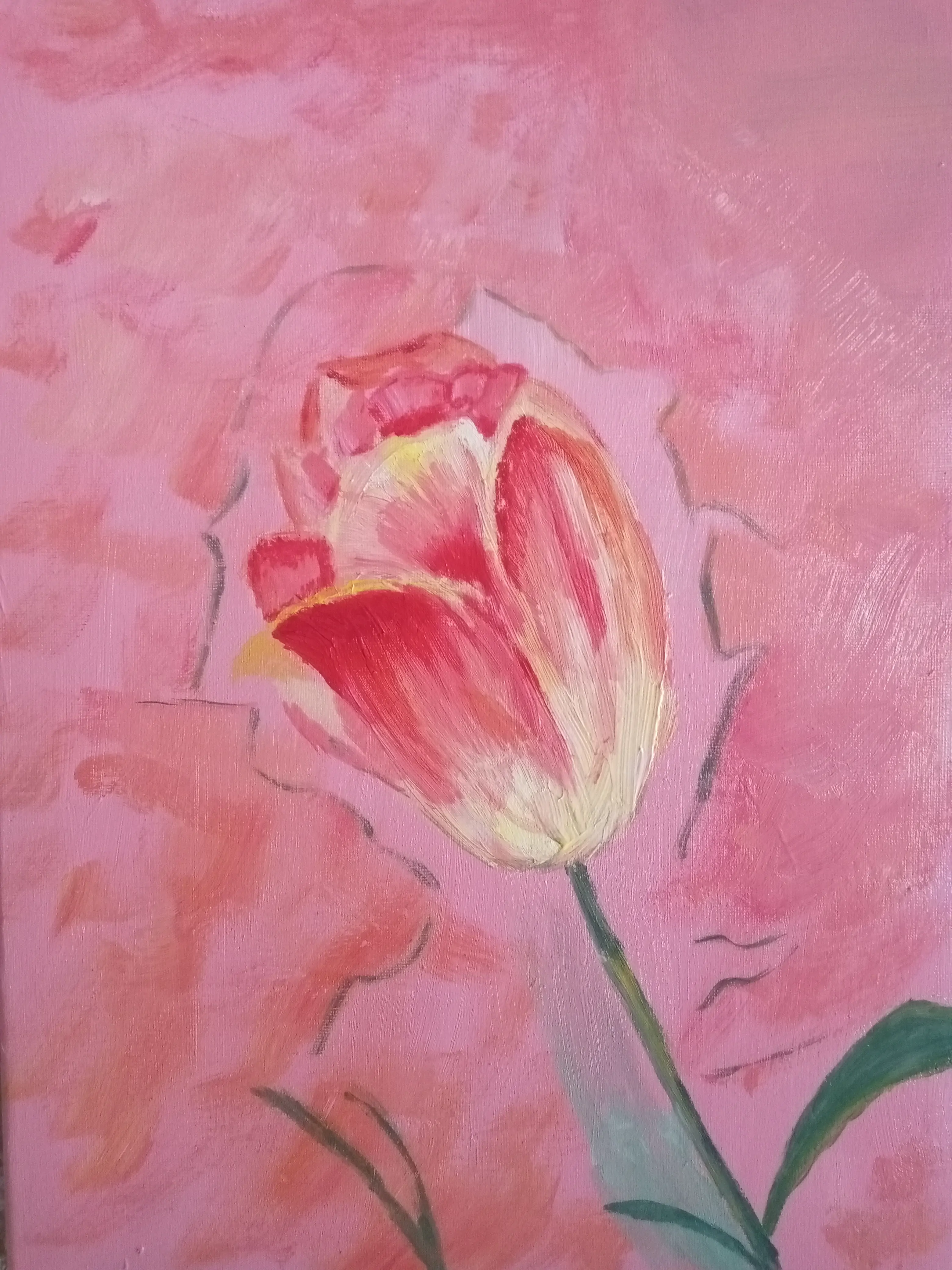 Free Rose Free Rose