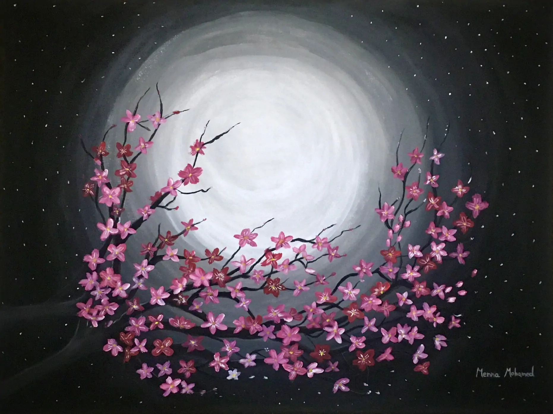 Moonlight Cherry Blossom Moonlight Cherry Blossom