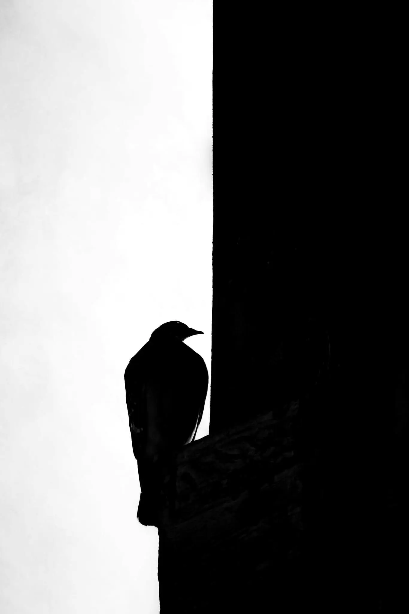 Artwork 'Untitled Digital Copy' by Rahma Ibrahim Mohamed - Picture 1