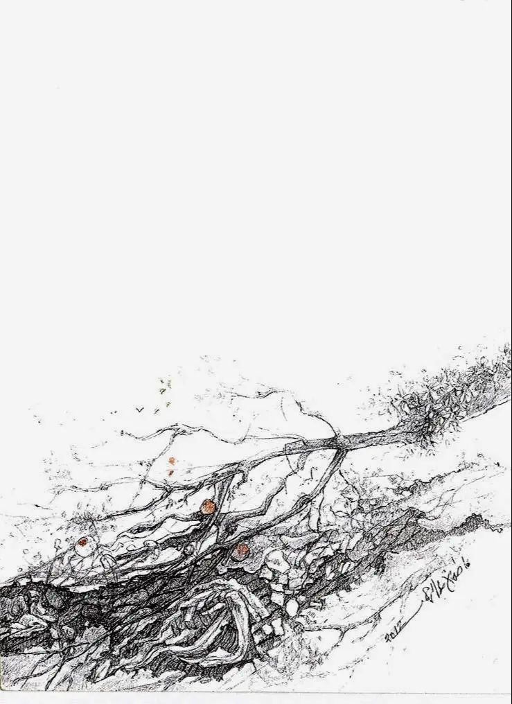 Artwork 'Untitled Digital Copy' by Fatma Abdelrahman - Picture 10